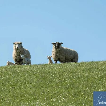 Апартаменты Friesenhain